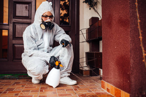 Reliable Wasp Removal contractor in New Hope, PA by Show Me Pest Control